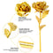 The Gift of Gold – A Timeless Token of Love